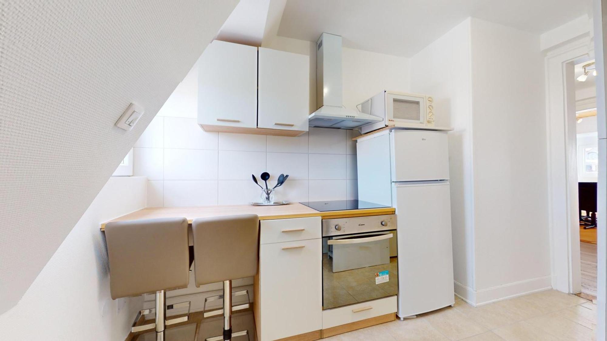 Les Appartements De Georges Avec Parking 科尔马 外观 照片